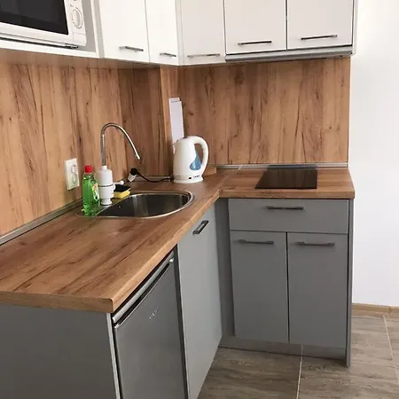 Apartment Прекрасные Солнечные Апартаменты Nesebar